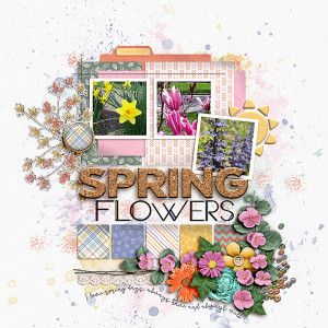 BYOC_5-23_AD_Spring Flowers