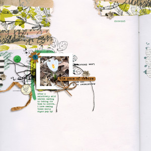 The Pace Of Nature