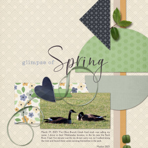Scrapping-with-Liz_2022-04_April-MIS_web