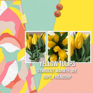 MIS_yellowtulips