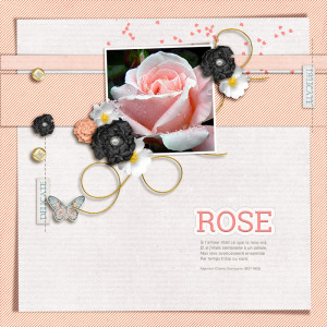Rose