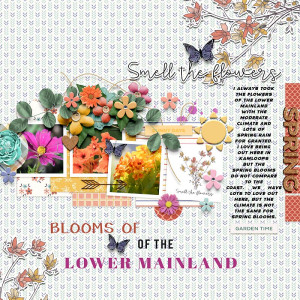 Blooms