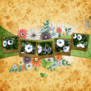 Spring Flowers