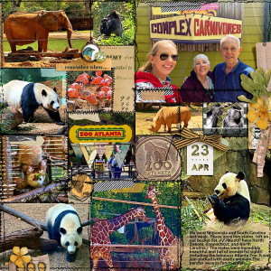 2023-Atlanta-Zoo
