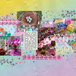 Spring Sights 2020