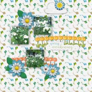 Spring Flowers