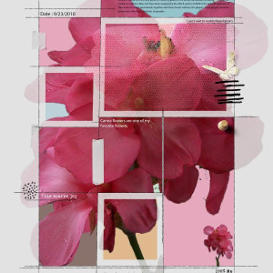 NBK Template With Canna Flower