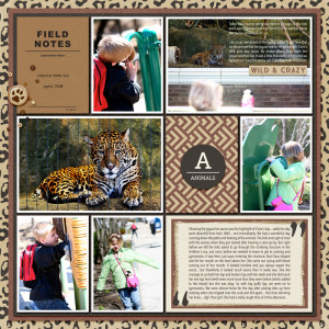 Lincoln Park Zoo 2008