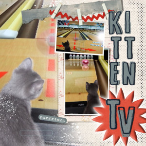 Fiddle Dee Dee Template Challenge Kitten TV