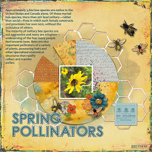 Spring Pollinators