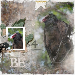 Be