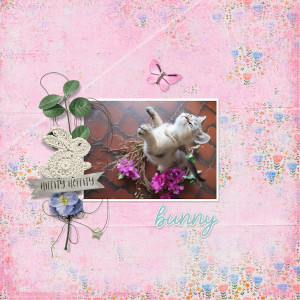 230417_bunny