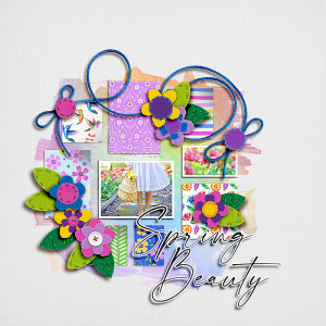 FF_apr21_GM_Soco_Spring Beauty