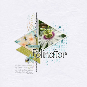 2022-02-05_Polinator