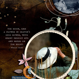 The Moon