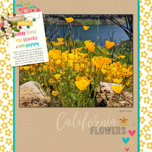 California-flowers