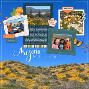 041923_dd_states-spring_scc_900