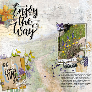 Enjoy-the-way