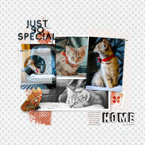230409_home
