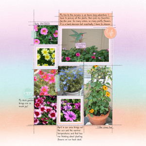 Back-Deck-Garden