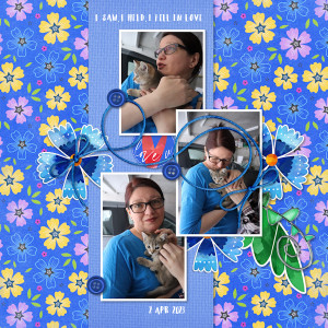 230402_kitten