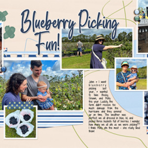 Blueberry Picking