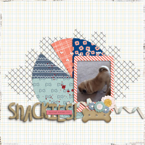 Snackies