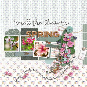 23-05_ad_springshine