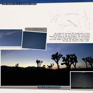Sunset and Stargazing at Joshua Tree National Park