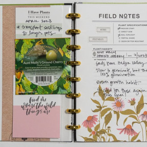 Gardening Journal | Hybrid Project from the TLP Blog