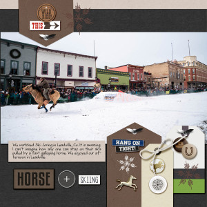 2023-3-4-ski-joring_600eb