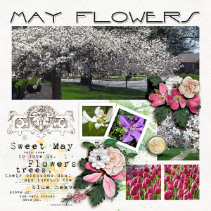 FF_apr28_AWA_AD_May Flowers
