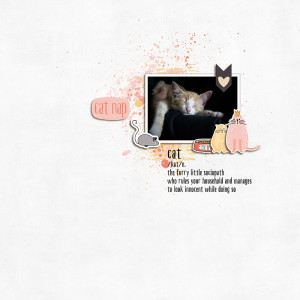Meow