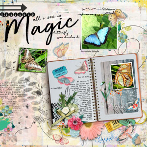 All-i-see-is-magic