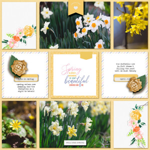 spring in bloom | may 23 byoc