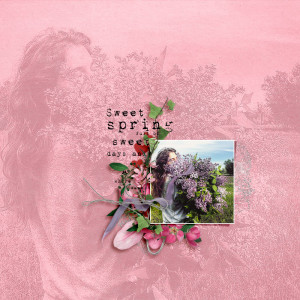 sweet spring
