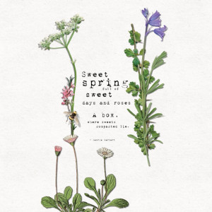 Sweet spring