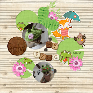 230423_frog