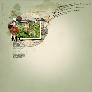MIC