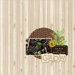 Home Grown