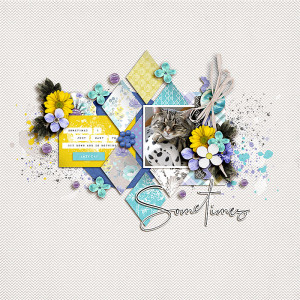 SOSN_may3_AD_SG_Sometimes