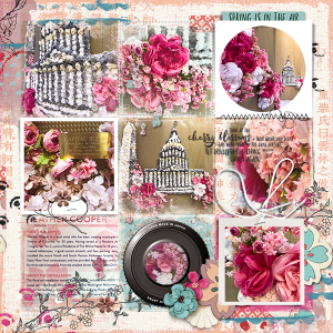 DC Cherry Blossom Installation- page 2