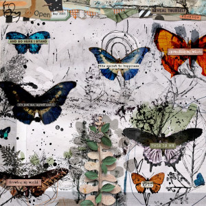 052023RC-butterflies