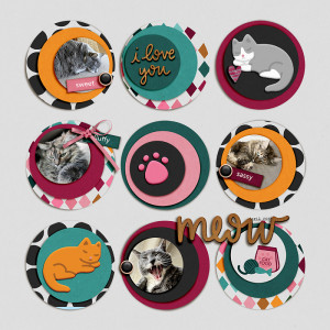 INSD_Meow-800