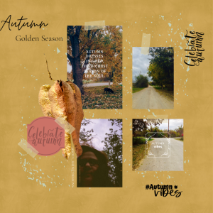 Laura Rogers September Vibes