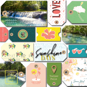 Laura Rogers Paradise Found
