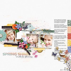 spring-shine