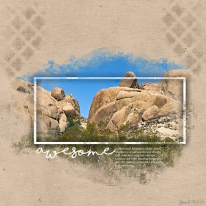 Wk 1_landscape Mountains