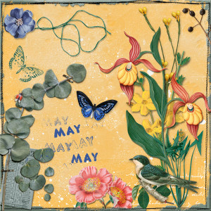 Paula Kesselring BYOC for May