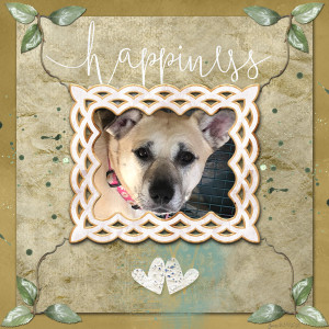NBK_happiness